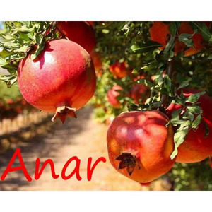 ANAR（最高級ザクロペースト） 詳細画像
