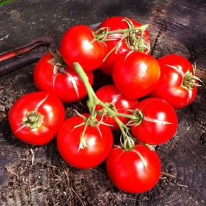 トマトの中のトマト　1000ml 詳細画像