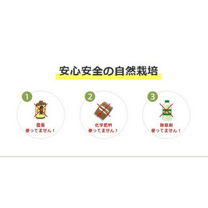 ほしいも　ほしか　60ｇ　小袋タイプ　3個セット 詳細画像