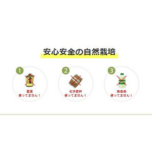 【プチギフト】ほしか　３袋セット 詳細画像