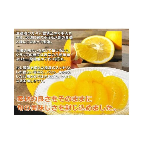 八朔缶詰 詳細画像