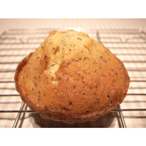 マドレーヌ　紅茶 詳細画像