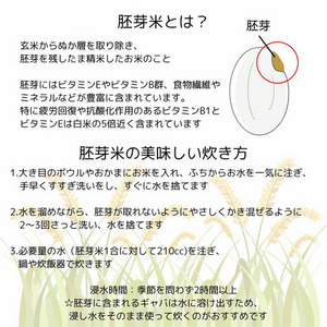 阿波照　長生米［特別栽培米/ひとめぼれ］胚芽精米 詳細画像