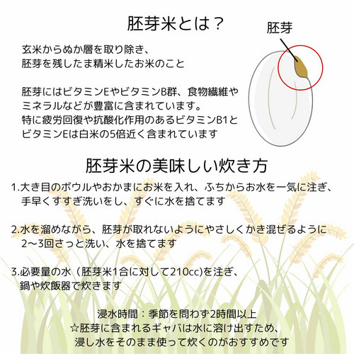 阿波照　長生米［特別栽培米/ひとめぼれ］胚芽精米 詳細画像