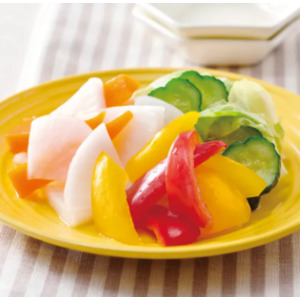 425　乳酸菌サラダの素 詳細画像