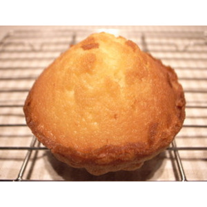 マドレーヌ　プレーン