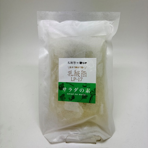 425　乳酸菌サラダの素